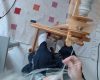 Woolen Method Spinning