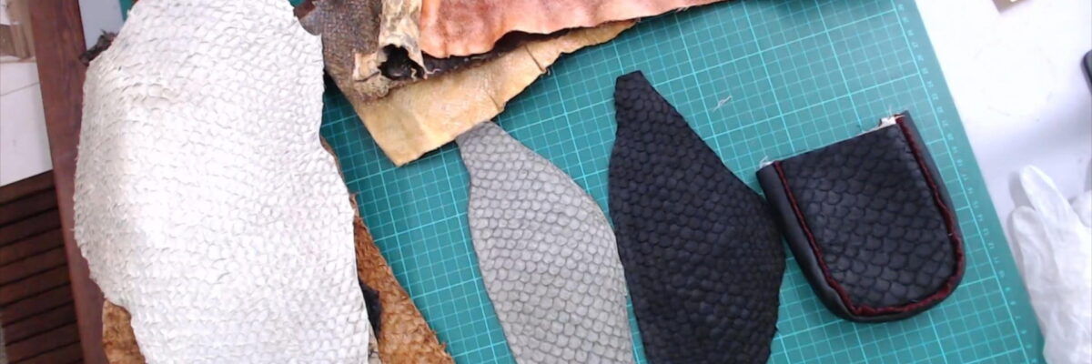 Tilapia Fish Skins