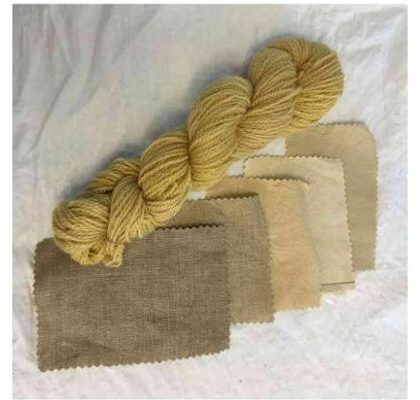 Eucalyptus Leaf Dye