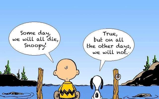 Charlie Brown - Snoopy