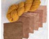Himalayan Rhubarb Dye