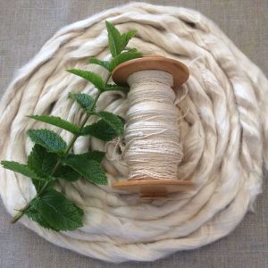 Mint Cellulose Fibre 2