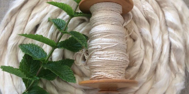 Mint Cellulose Fibre 2