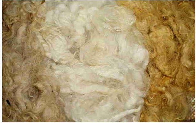 Red Cedar Dyed Fleece